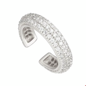 Luxury Earcuff (Gold & Silver)